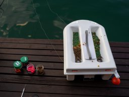 Perućac ribolov šarana