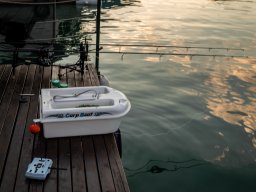 Perućac ribolov šarana