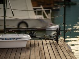 Perućac ribolov šarana