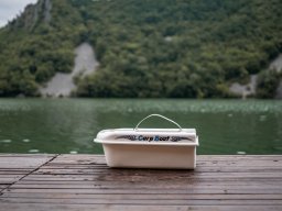 Perućac ribolov šarana